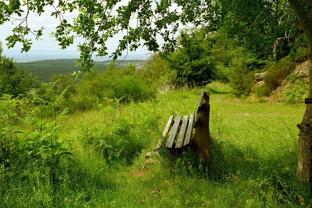 将尤文本应 将尤文本应