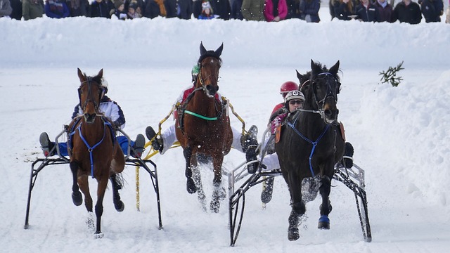 对比马尔代 对比马尔代