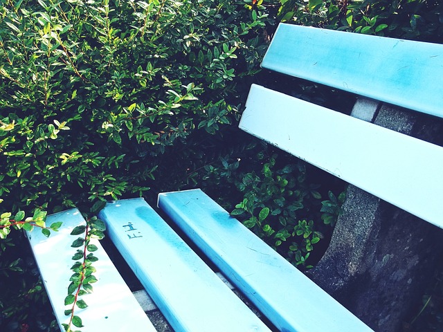 三名球员的 三名球员的