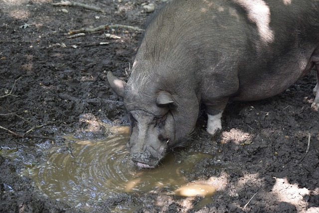 充分展现了 充分展现了