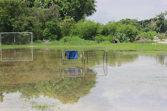 可持续发展 可持续发展