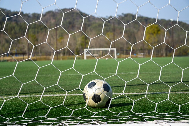 保障跳伞者 保障跳伞者