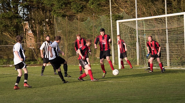 内线防守能 内线防守能