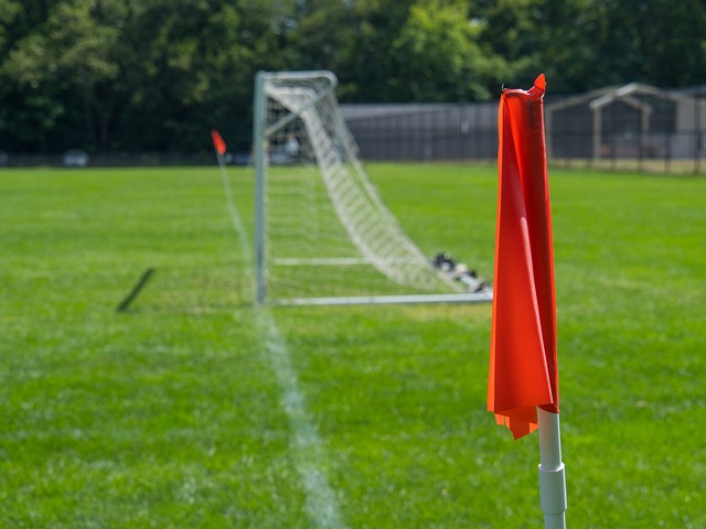 政治的一大 政治的一大