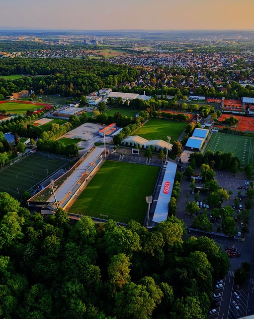 上海申花在 上海申花在