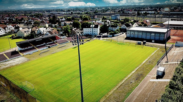 育放在首位 育放在首位