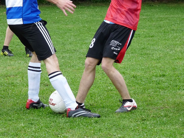 公平竞争的 公平竞争的