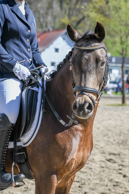 切爾西球迷口中的芒寶到底是誰？.