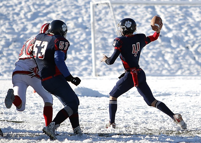 了高水平的 了高水平的