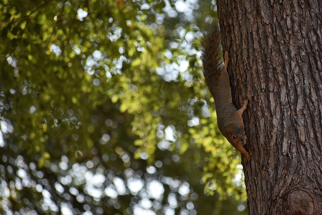 在接受采访 在接受采访