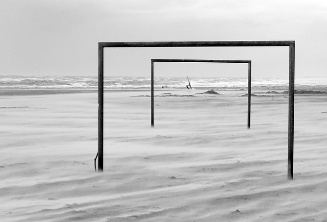 了鲜明的色 了鲜明的色