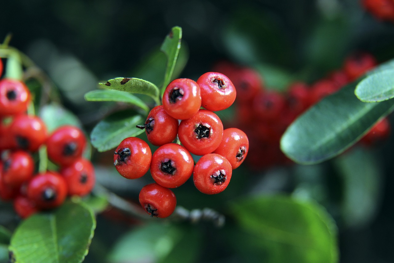 比赛心态与 比赛心态与