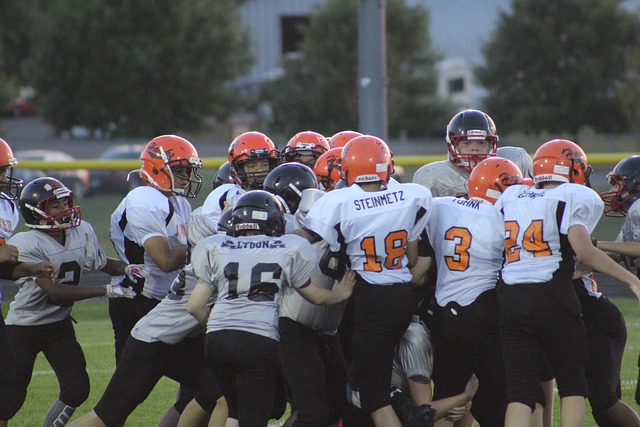 心的退役 心的退役